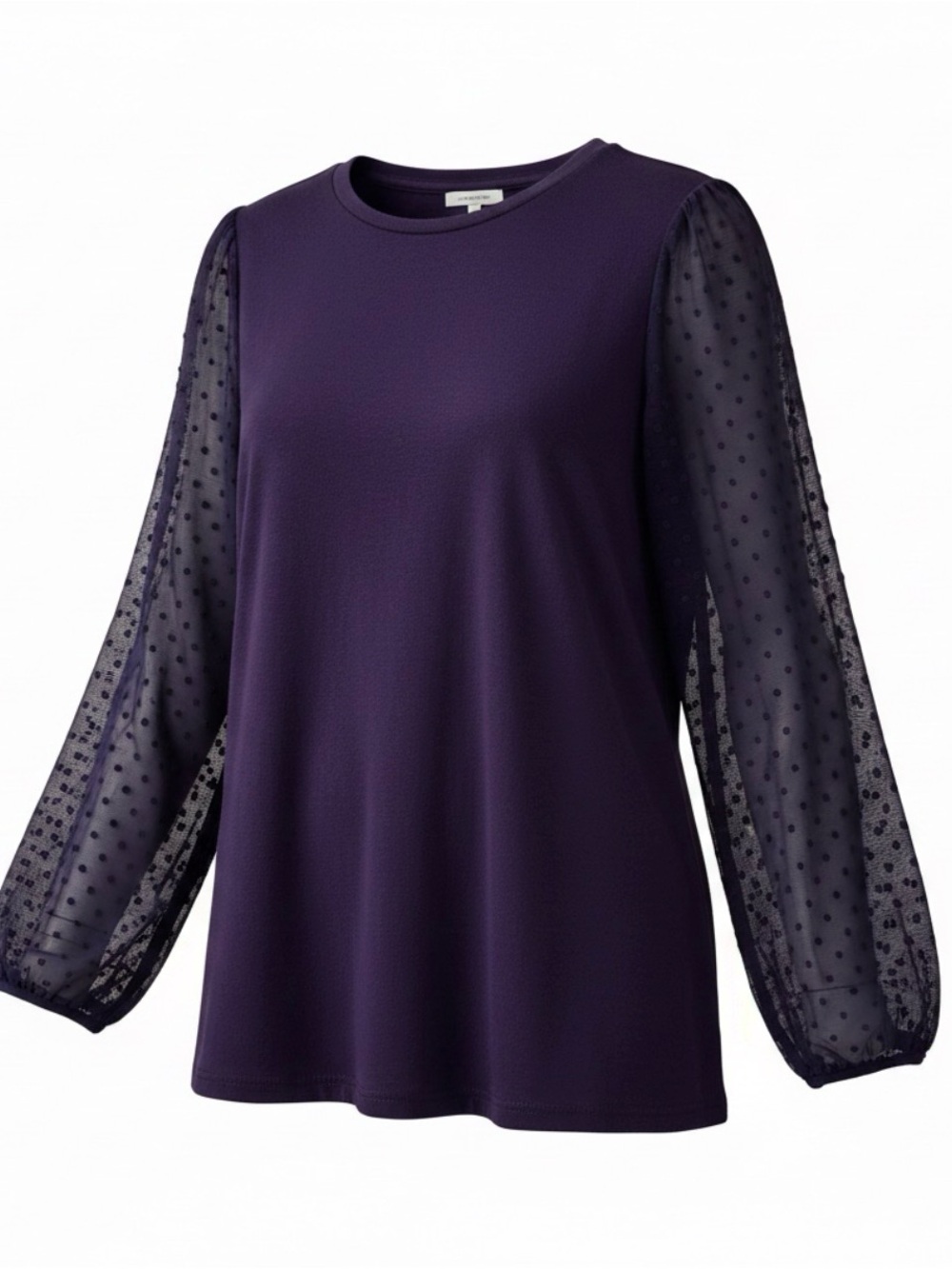Dotted Sheer Sleeve / Long-Sleeve Top - Purple size L
